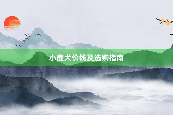 小鹿犬价钱及选购指南