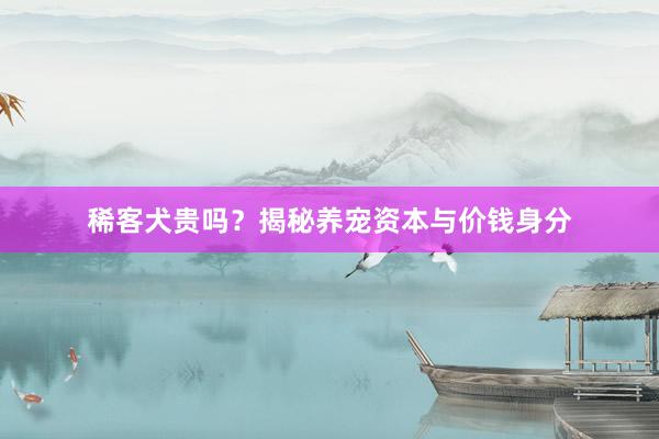 稀客犬贵吗？揭秘养宠资本与价钱身分