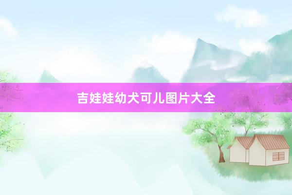 吉娃娃幼犬可儿图片大全
